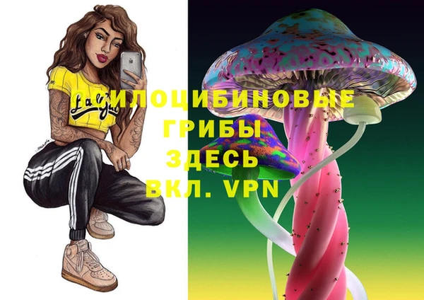 прущие крисы Куйбышев