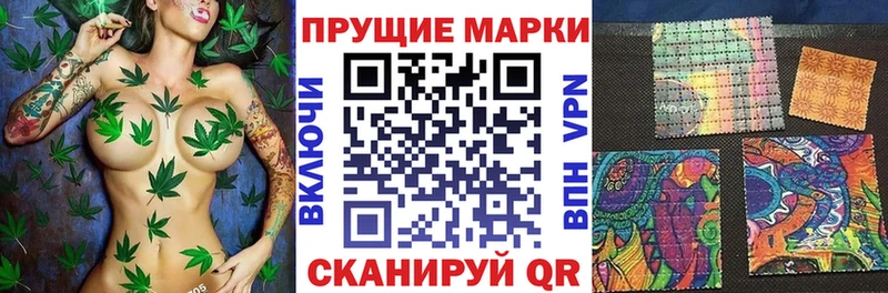 ссылка на мегу   Каневская  Марки N-bome 1,8мг  даркнет сайт 