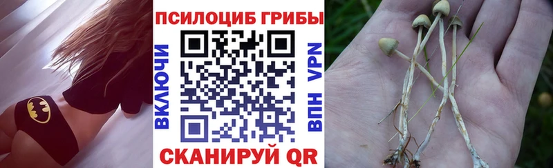 Галлюциногенные грибы MAGIC MUSHROOMS Каневская