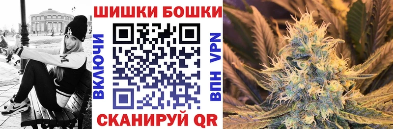 Шишки марихуана OG Kush  Каневская 